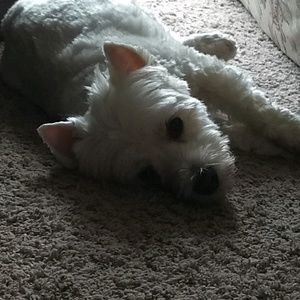 Meet your Posher, Maryanne